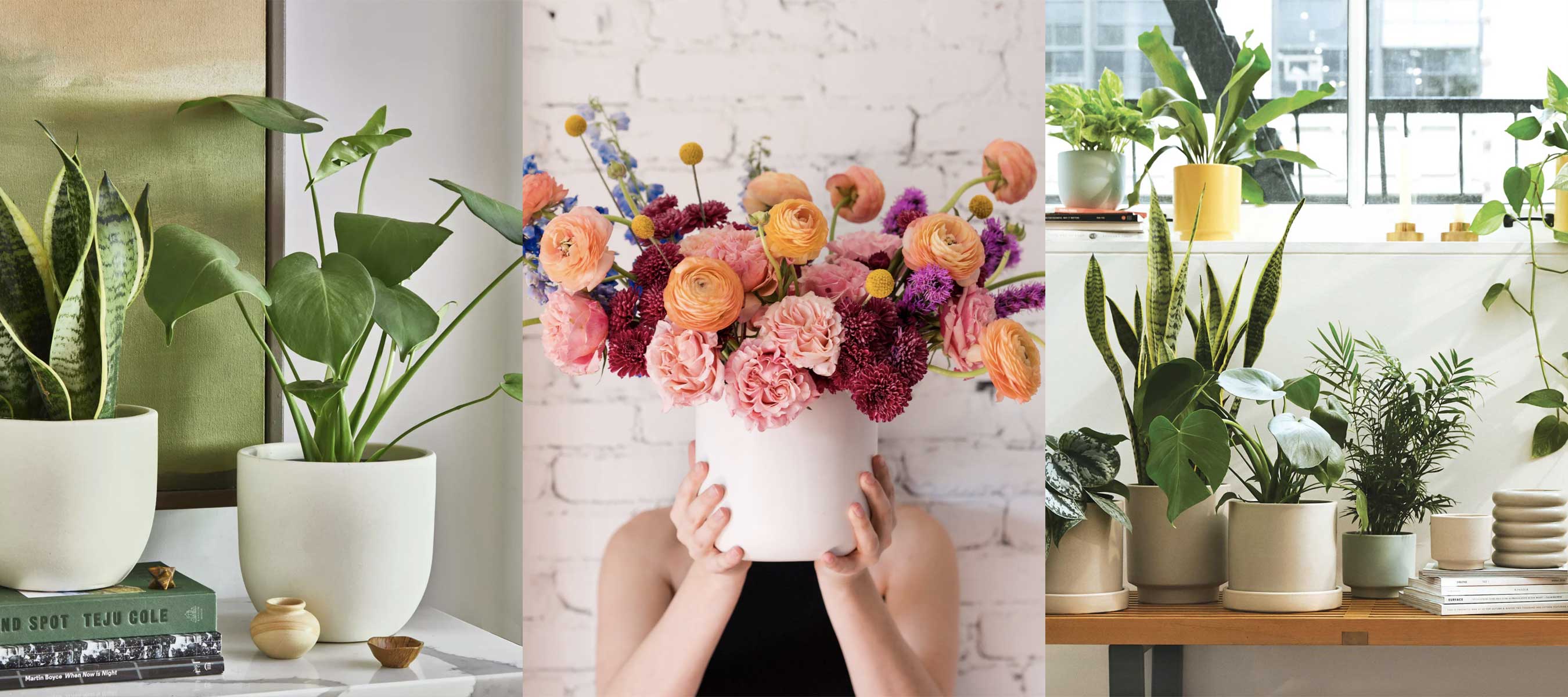Start Your Virtual Plant Workshop