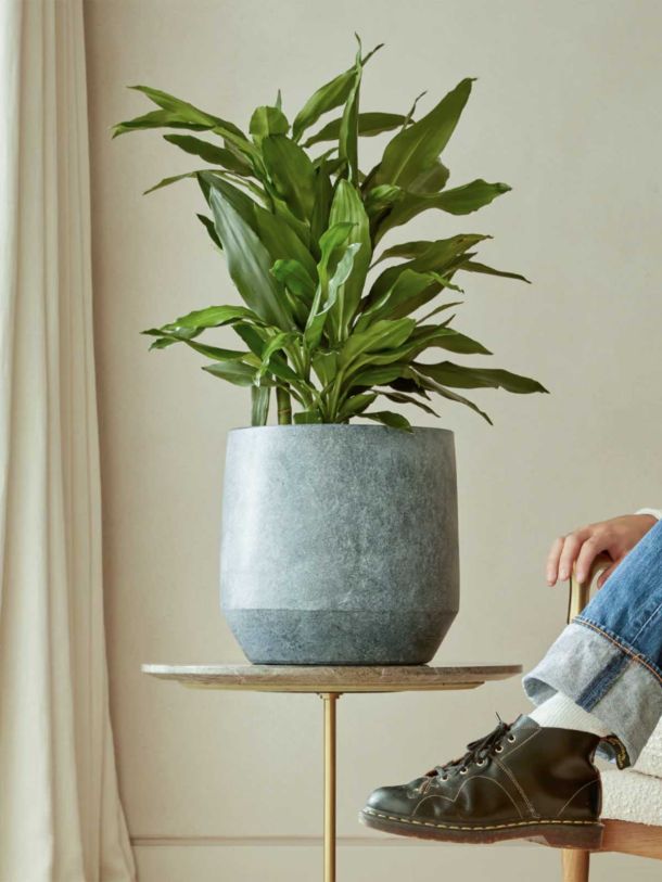 Leandro Indoor Plant Pot
