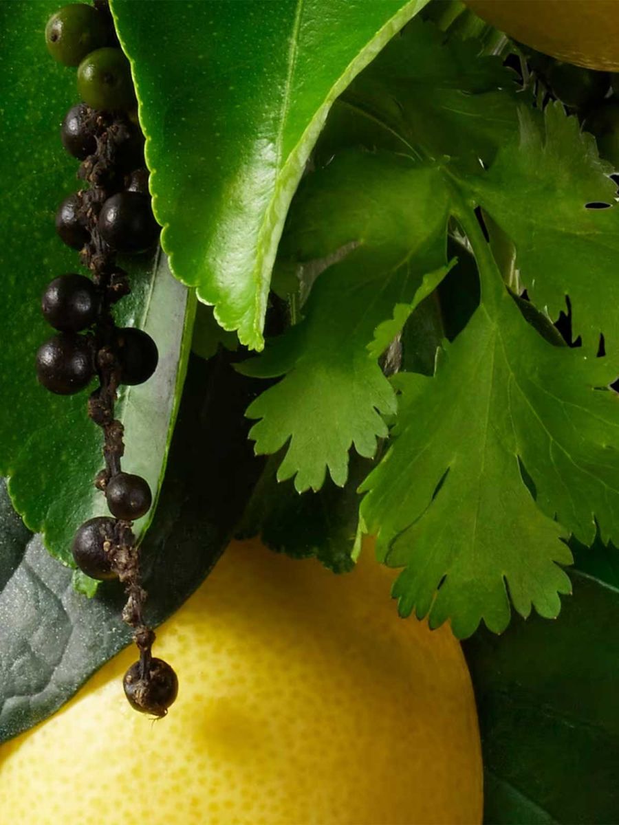 Re-charge Black Pepper Bath Shower Gel