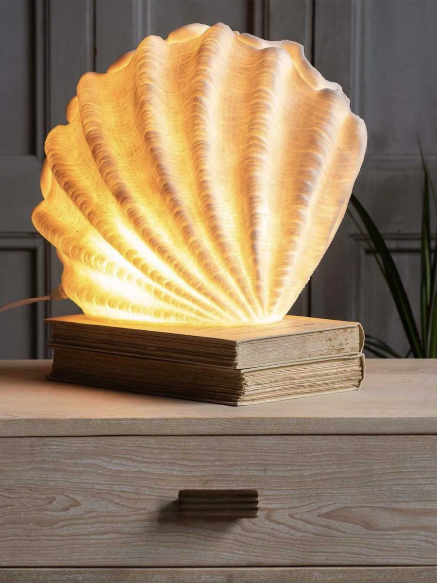 Decorative Shell Table Lamp