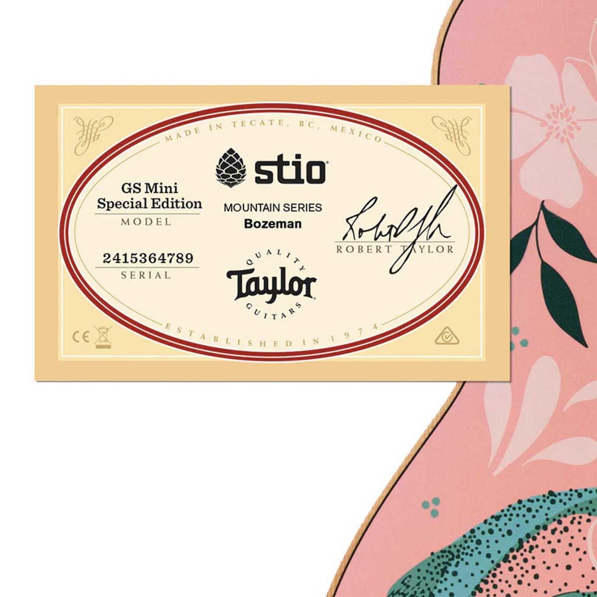 About Taylor Guitars X Stio