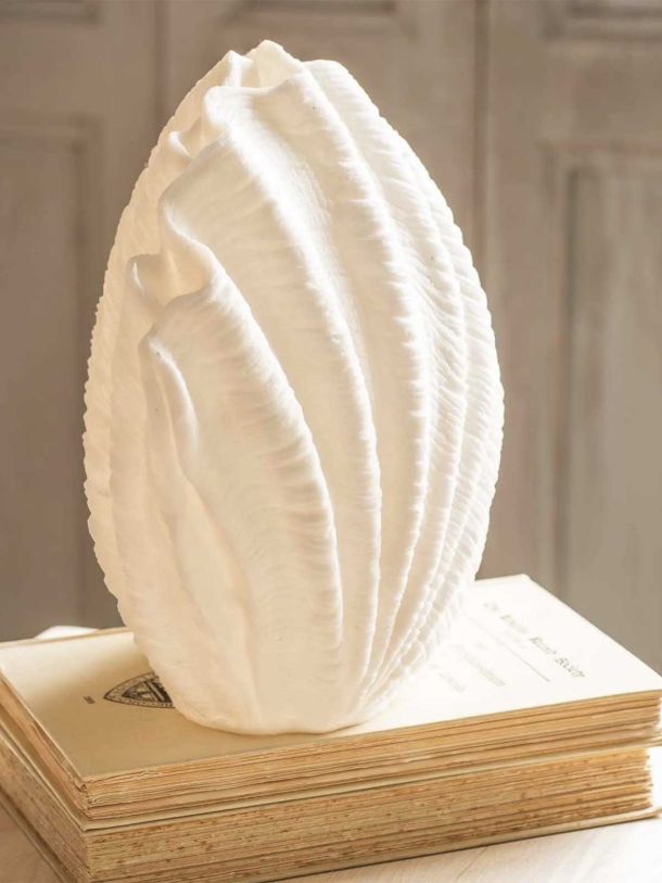 Decorative Shell Table Lamp