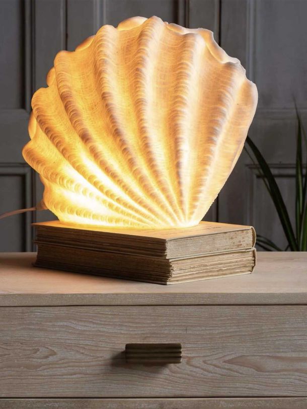Decorative Shell Table Lamp