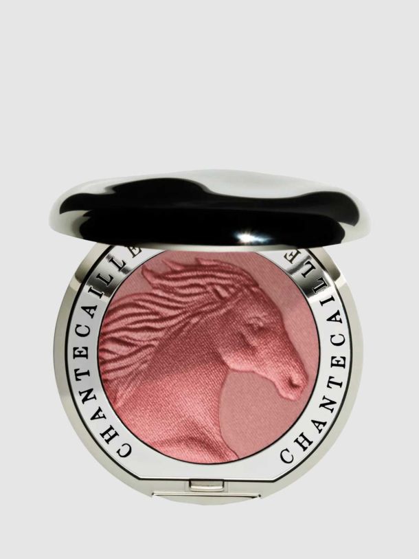 Cheek Shade Horse Joy